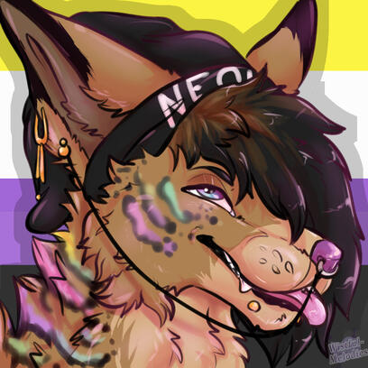 Headshot for Kookie