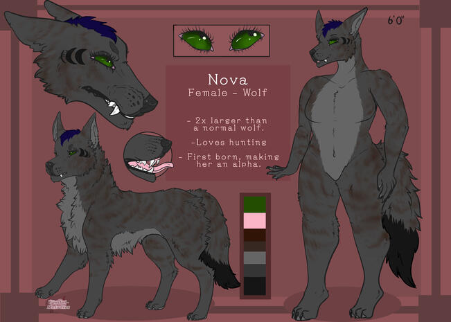 Ref sheet comm
